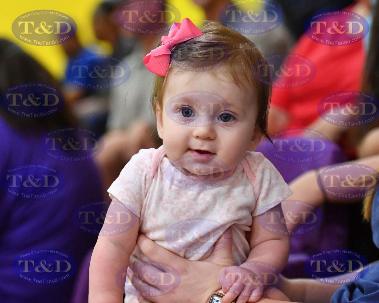 DSC_5505.jpg